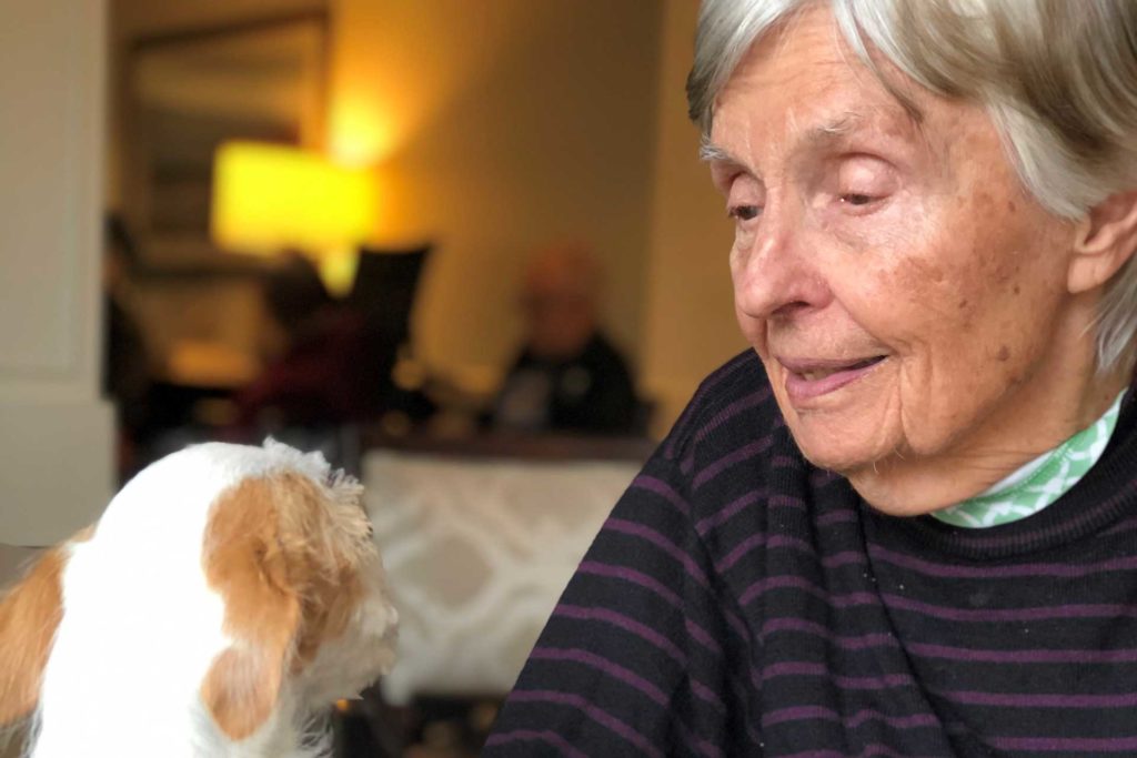 photo of Tequesta Terrace senior Woman With Puppy